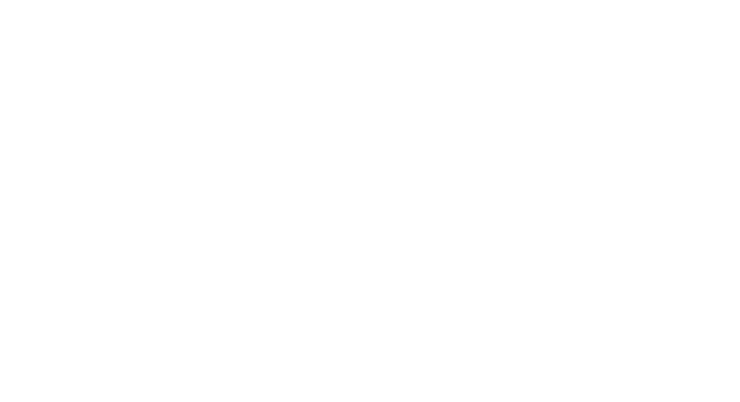 TLDSB logo
